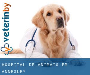 Hospital de animais em Annesley