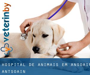 Hospital de animais em Ansoáin / Antsoain