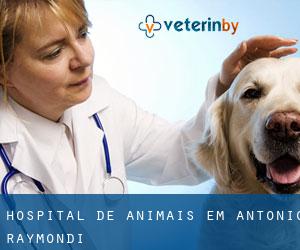 Hospital de animais em Antonio Raymondi