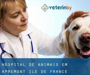 Hospital de animais em Apremont (Île-de-France)