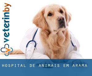 Hospital de animais em Arama