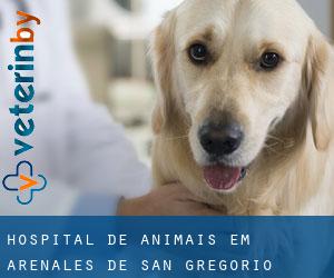 Hospital de animais em Arenales de San Gregorio