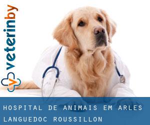 Hospital de animais em Arles (Languedoc-Roussillon)