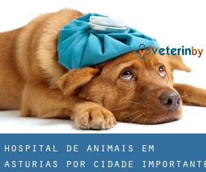 Hospital de animais em Asturias por cidade importante - página 1