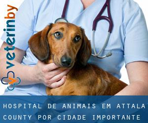 Hospital de animais em Attala County por cidade importante - página 1