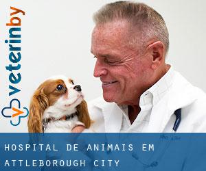 Hospital de animais em Attleborough City