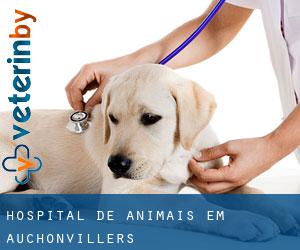 Hospital de animais em Auchonvillers