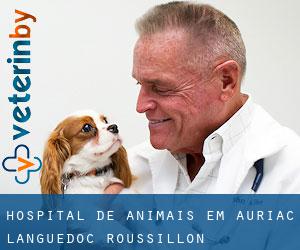 Hospital de animais em Auriac (Languedoc-Roussillon)