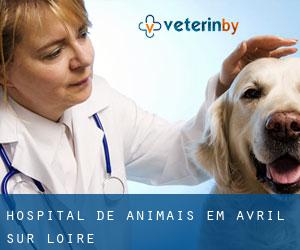 Hospital de animais em Avril-sur-Loire