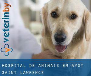 Hospital de animais em Ayot Saint Lawrence