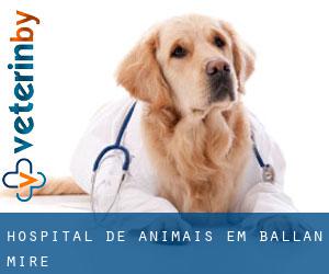 Hospital de animais em Ballan-Miré