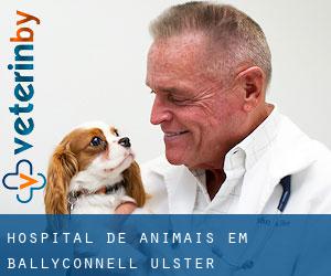 Hospital de animais em Ballyconnell (Ulster)