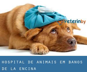 Hospital de animais em Baños de la Encina
