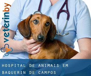 Hospital de animais em Baquerín de Campos