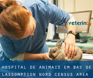 Hospital de animais em Bas-de-L'Assomption-Nord (census area)