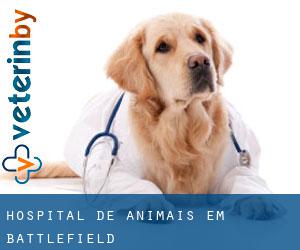 Hospital de animais em Battlefield
