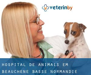 Hospital de animais em Beauchêne (Basse-Normandie)