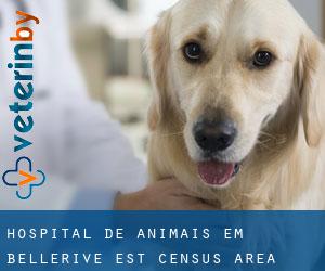 Hospital de animais em Bellerive Est (census area)