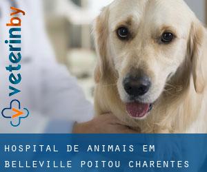 Hospital de animais em Belleville (Poitou-Charentes)