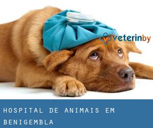 Hospital de animais em Benigembla