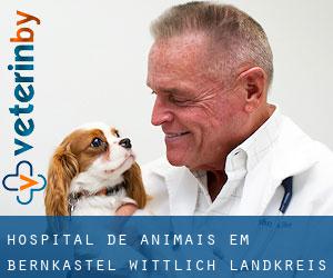 Hospital de animais em Bernkastel-Wittlich Landkreis