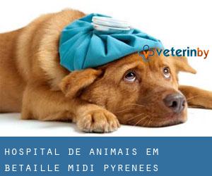 Hospital de animais em Bétaille (Midi-Pyrénées)