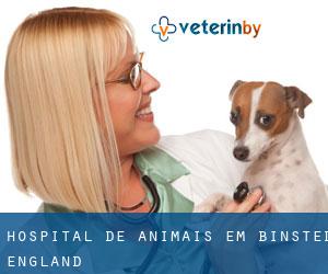 Hospital de animais em Binsted (England)