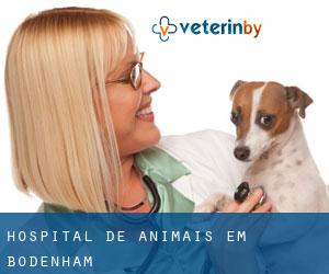 Hospital de animais em Bodenham