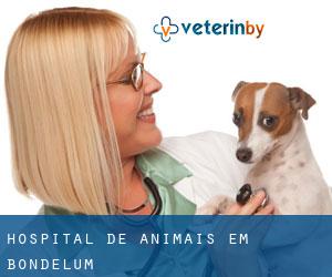 Hospital de animais em Bondelum