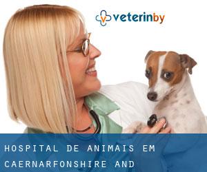 Hospital de animais em Caernarfonshire and Merionethshire