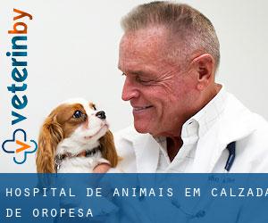 Hospital de animais em Calzada de Oropesa