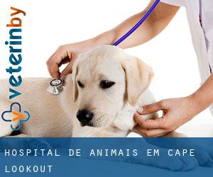 Hospital de animais em Cape Lookout