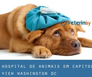 Hospital de animais em Capitol View (Washington, D.C.)