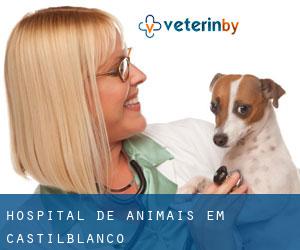 Hospital de animais em Castilblanco