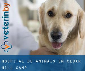 Hospital de animais em Cedar Hill Camp
