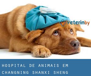 Hospital de animais em Changning (Shanxi Sheng)