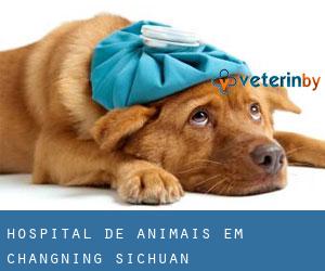 Hospital de animais em Changning (Sichuan)