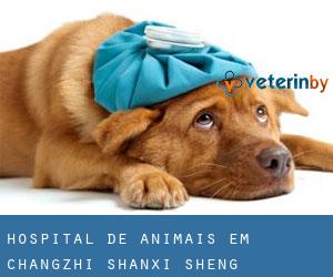 Hospital de animais em Changzhi (Shanxi Sheng)