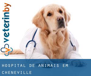 Hospital de animais em Chénéville