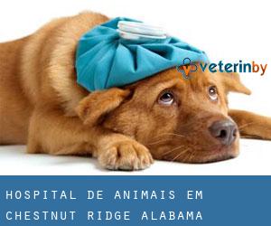 Hospital de animais em Chestnut Ridge (Alabama)