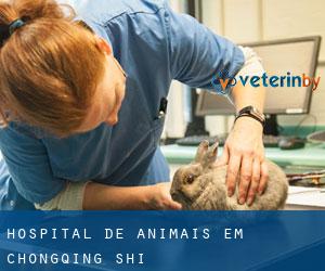 Hospital de animais em Chongqing Shi