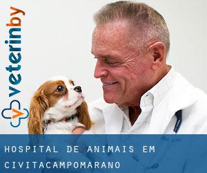 Hospital de animais em Civitacampomarano