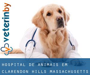 Hospital de animais em Clarendon Hills (Massachusetts)