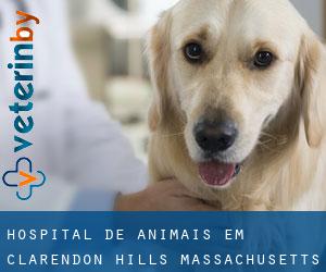 Hospital de animais em Clarendon Hills (Massachusetts)