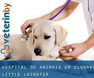 Hospital de animais em Clonard Little (Leinster)