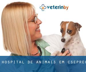 Hospital de animais em Csepreg