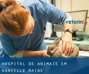 Hospital de animais em Danville (Maine)