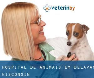 Hospital de animais em Delavan (Wisconsin)