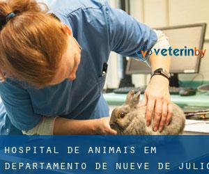 Hospital de animais em Departamento de Nueve de Julio (San Juan)