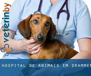 Hospital de animais em Drammen